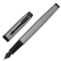 Ручка перьевая PARKER "IM Achromatic Grey BT", корпус серый матовый, нержавеющая сталь, синяя, 21276