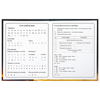 Дневник 1-4 класс 48 л., твердый, BRAUBERG, глянцевая ламинация, с подсказом, "Милый котик", 106835