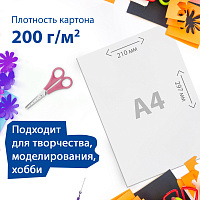 Картон белый А4 МЕЛОВАННЫЙ (белый оборот), 50 листов, в коробке, BRAUBERG, 210х297 мм, 113562