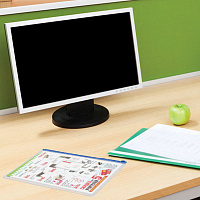 Папка-конверт на молнии А4 (335х238 мм), карман для визиток, молния ассорти, прозрачная, 0,15 мм, BR