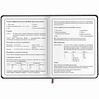 Дневник 1-4 класс 48 л., кожзам (гибкая), печать, фольга, ЮНЛАНДИЯ, "Котик", 106923