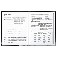Дневник 1-4 класс 48 л., твердый, BRAUBERG, глянцевая ламинация, с подсказом, "Милый котик", 106835