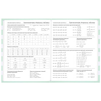 Дневник 1-11 класс 48 л., твердый, BRAUBERG, блестки, с подсказом, "Котик", 106606