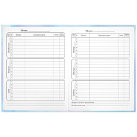 Дневник 1-4 класс 48 л., твердый, ЮНЛАНДИЯ, блестки, с подсказом, "Фея", 106608