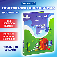 Папка-портфолио школьника/дошкольника "ШКОЛЬНАЯ ИСТОРИЯ", 4 кольца, обложка твёрдая матовая, BRAUBER