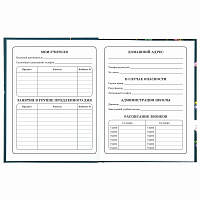 Дневник 1-4 класс 48 л., твердый, ЮНЛАНДИЯ, глянцевая ламинация, с подсказом, "Kittycorn", 106346