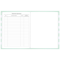 Дневник 1-11 класс 48 л., твердый, BRAUBERG, блестки, с подсказом, "Котик", 106606