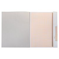 Бумага масштабно-координатная (миллиметровая), папка, БОЛЬШОЙ ФОРМАТ А3, оранжевая, 10 листов, 65 г/