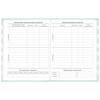 Дневник 1-11 класс 48 л., твердый, BRAUBERG, блестки, с подсказом, "Котик", 106606