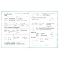 Дневник 1-11 класс 48 л., твердый, BRAUBERG, блестки, с подсказом, "Котик", 106606