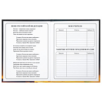 Дневник 1-4 класс 48 л., твердый, BRAUBERG, глянцевая ламинация, с подсказом, "Милый котик", 106835