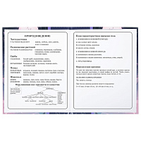 Дневник 1-4 класс 48 л., твердый, ЮНЛАНДИЯ, глянцевая ламинация, с подсказом, "Аниме", 106828