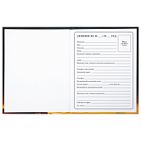 Дневник 1-4 класс 48 л., твердый, BRAUBERG, глянцевая ламинация, с подсказом, "Милый котик", 106835