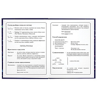 Дневник 1-4 класс 48 л., твердый, ЮНЛАНДИЯ, глянцевая ламинация, с подсказом, "Little star", 106597