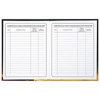 Дневник 1-4 класс 48 л., твердый, BRAUBERG, глянцевая ламинация, с подсказом, "Милый котик", 106835