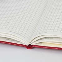 Блокнот МАЛЫЙ (100x150 мм) А6, BRAUBERG "Metropolis Special", под кожу, 80 л., клетка, красный, 1115