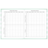 Дневник 1-11 класс 48 л., твердый, BRAUBERG, блестки, с подсказом, "Котик", 106606