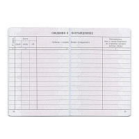 Бланк документа "Вкладыш в трудовую книжку", 88х125 мм, ГОЗНАК