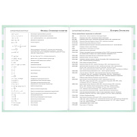 Дневник 1-11 класс 48 л., твердый, BRAUBERG, блестки, с подсказом, "Котик", 106606