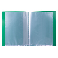 Папка 10 вкладышей BRAUBERG стандарт, зеленая, 0,6 мм, 221589