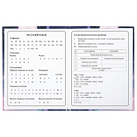 Дневник 1-4 класс 48 л., твердый, ЮНЛАНДИЯ, глянцевая ламинация, с подсказом, "Аниме", 106828