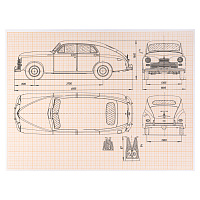 Бумага масштабно-координатная (миллиметровая), папка, БОЛЬШОЙ ФОРМАТ А3, оранжевая, 10 листов, 65 г/