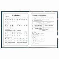 Дневник 1-4 класс 48 л., твердый, ЮНЛАНДИЯ, глянцевая ламинация, с подсказом, "Kittycorn", 106346