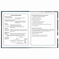 Дневник 1-4 класс 48 л., твердый, ЮНЛАНДИЯ, глянцевая ламинация, с подсказом, "Kittycorn", 106346