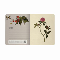 Тетрадь А5 48 л. BRUNO VISCONTI скоба, клетка, Soft Touch, фольга, "BLOOM FLOWERS" (5 видов), 7-48-1
