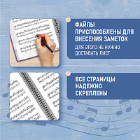 Папка-тетрадь для нот А4, 20 вкладышей на 40 страниц, на гребне, пластик, ФИОЛЕТОВАЯ, BRAUBERG, 4046