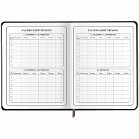 Дневник 1-4 класс 48 л., кожзам (гибкая), печать, фольга, ЮНЛАНДИЯ, "Котик", 106923