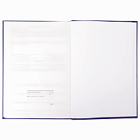 Журнал учета проверок юр.лиц и ИП, 96 л., бумвинил, блок офсет, фольга, А4 (200х290 мм), BRAUBERG, 1