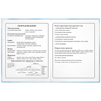 Дневник 1-4 класс 48 л., твердый, ЮНЛАНДИЯ, блестки, с подсказом, "Фея", 106608