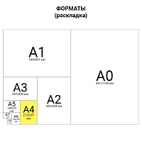 Журнал учета проверок юр.лиц и ИП, 96 л., бумвинил, блок офсет, фольга, А4 (200х290 мм), BRAUBERG, 1